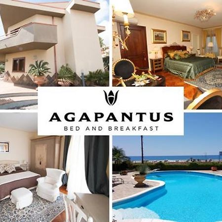 Agapantus Bed & Breakfast Bed & Breakfast Diamante Exterior photo