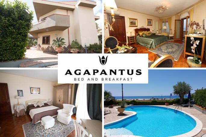 Agapantus Bed & Breakfast Bed & Breakfast Diamante Exterior photo